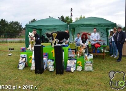 I Międzynarodowa Wystawa Psów Rasowych Solec Kujawski 2017