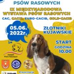 XI Krajowa Wystawa Psów Rasowych oraz IX Międzynarodowa Wystawa Psów Rasowych (CAC, CACIB, EURO-CACIB, GOLD-CACIB)