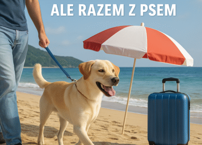 🐾 Wakacje tuż-tuż! A co z Twoim pupilem? 🐶☀️