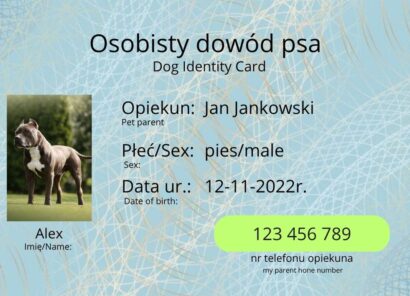 Personalizowany Dowód Osobisty Psa lub Kota – czym jest i dlaczego warto go mieć?