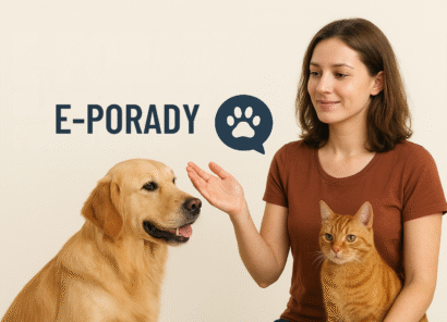 E-porada dla właścicieli psów. Zarejestruj swojego psa w Centralnym Rejestrze Zwierząt Oznakowanych i uzyskaj dostęp do e-porady.