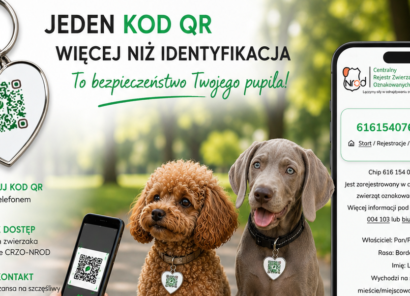 Kod QR na zawieszce – natychmiastowy dostęp do danych zwierzęcia